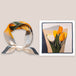Orange tulipes
