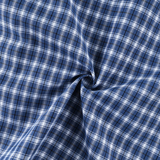Détail du tissu de la chemise, motif à carreaux bleus et blancs.