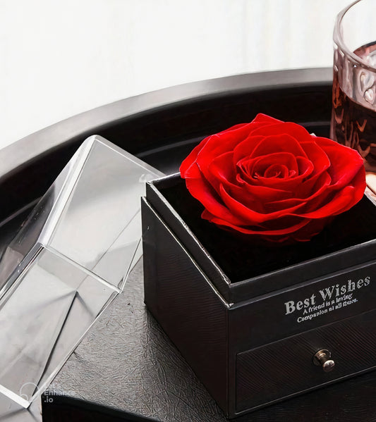 Eternal Rose &amp; Necklace